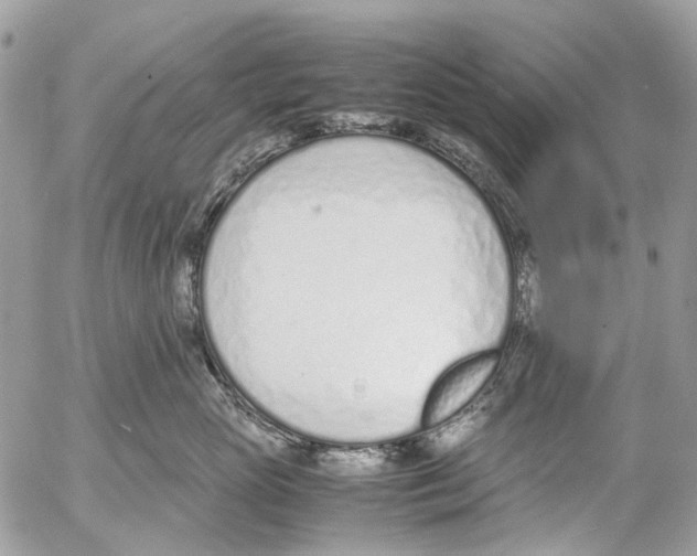 X0000053070765200508081219