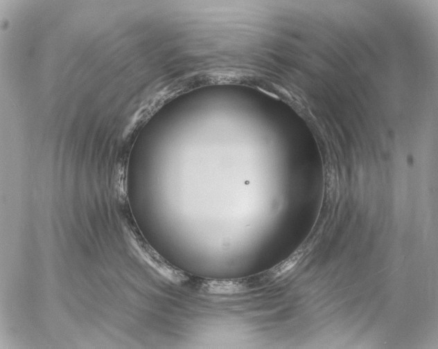 X0000053070766200508081220