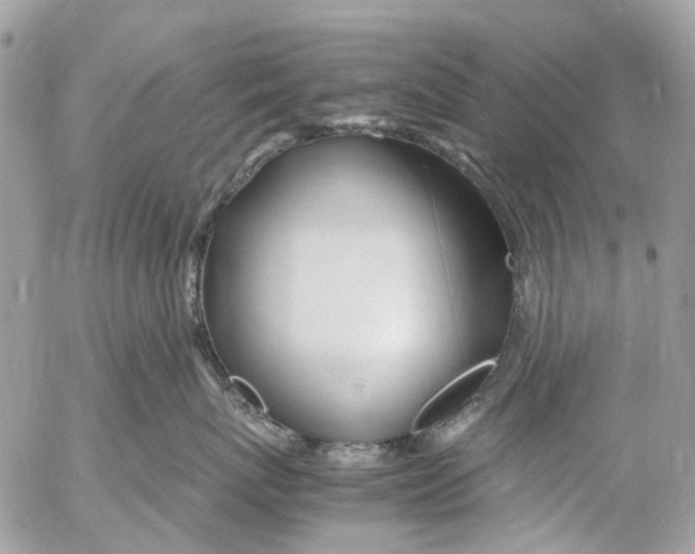 X0000053070767200508081220