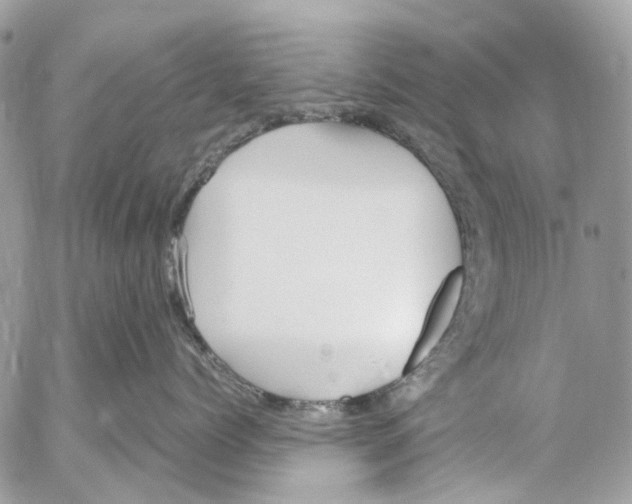 X0000053070768200508081220