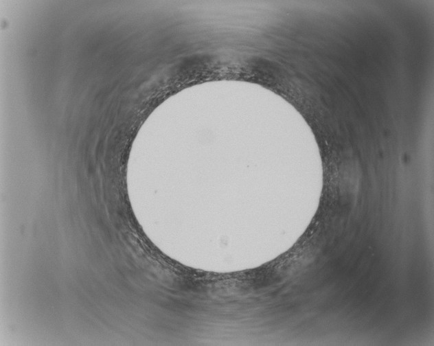 X0000053070769200508081219