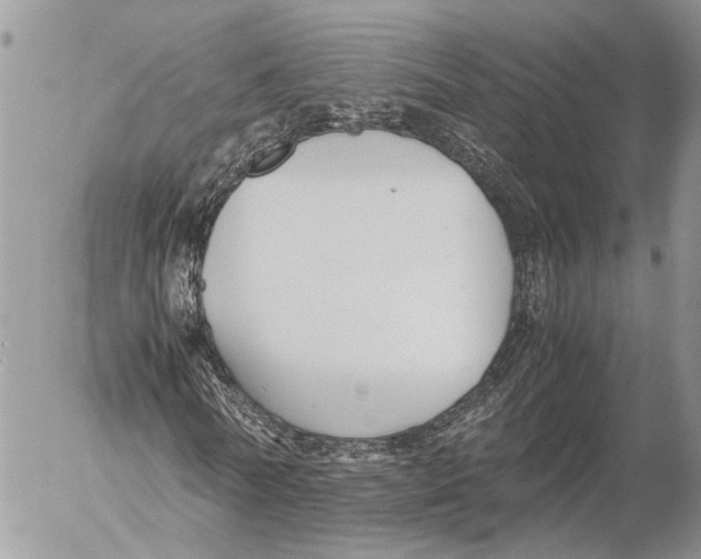 X0000053070770200508081219