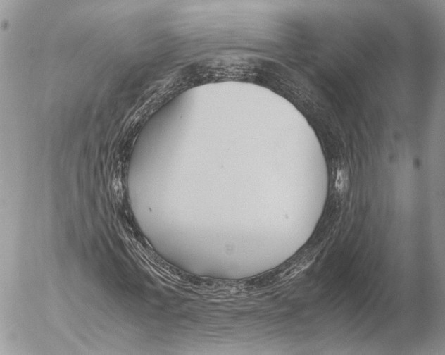 X0000053070771200508081219