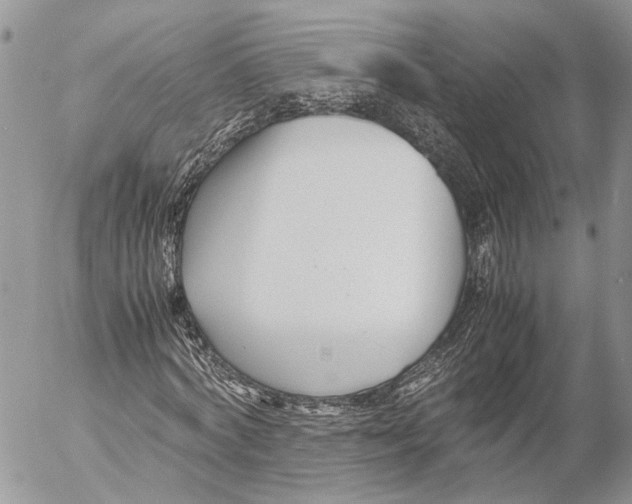 X0000053070772200508081219