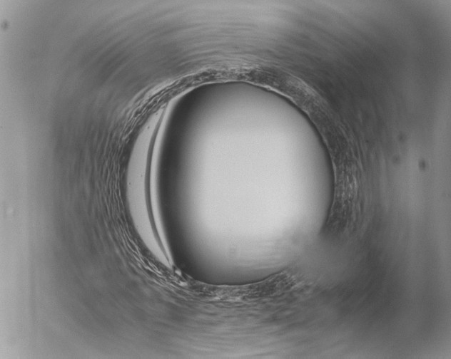 X0000053070773200508081219