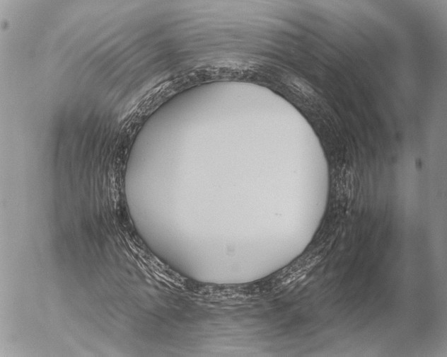 X0000053070774200508081219