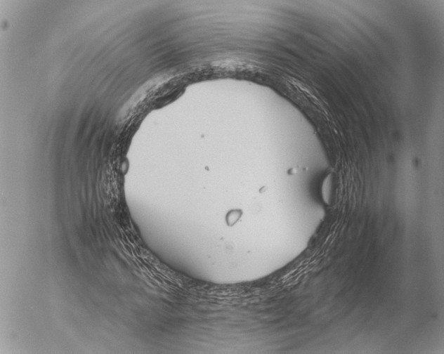 X0000053070776200508081219