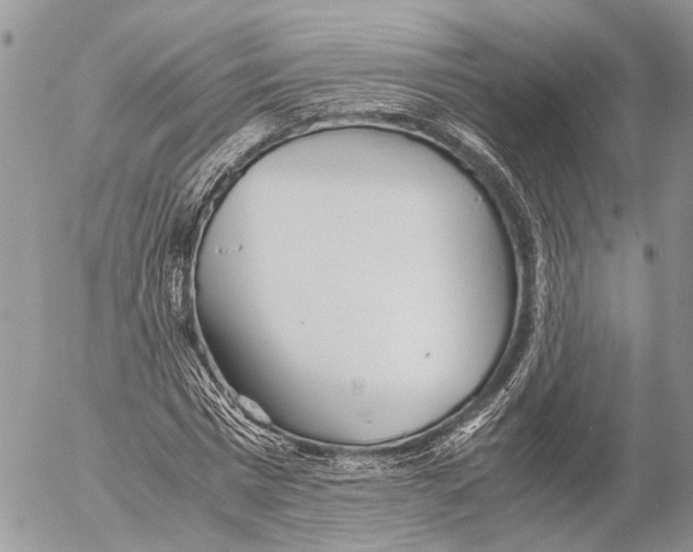 X0000053070777200508081219