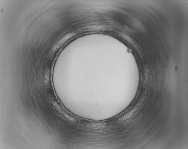 X0000053070778200508081219