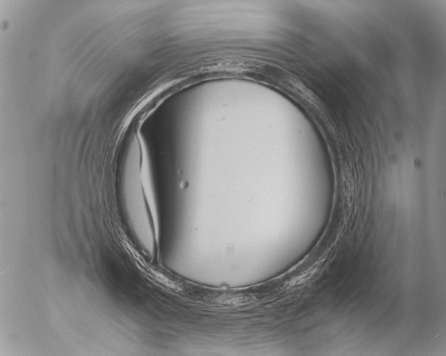 X0000053070779200508081219