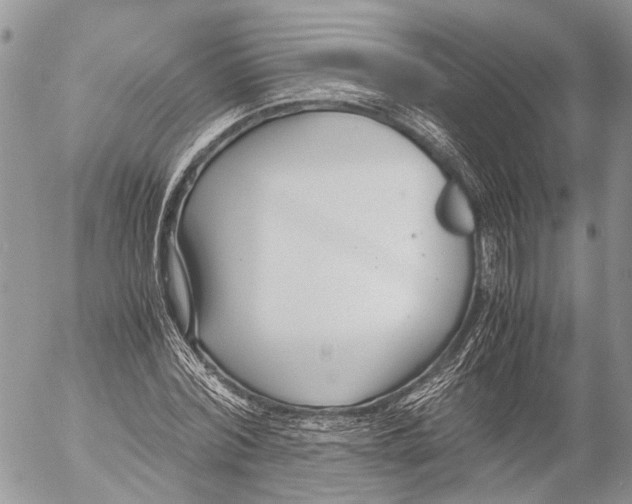 X0000053070780200508081219