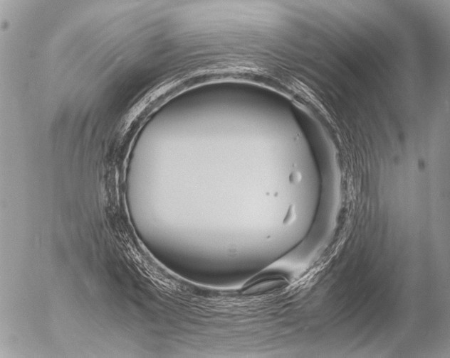 X0000053070781200508081219