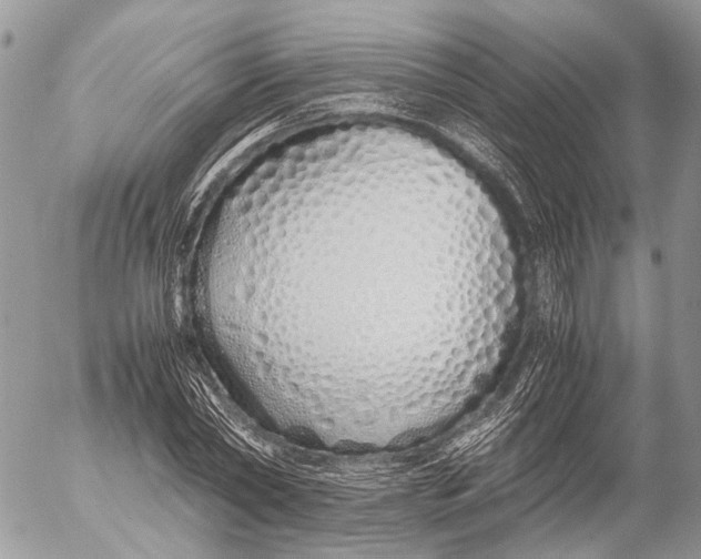 X0000053070782200508081219