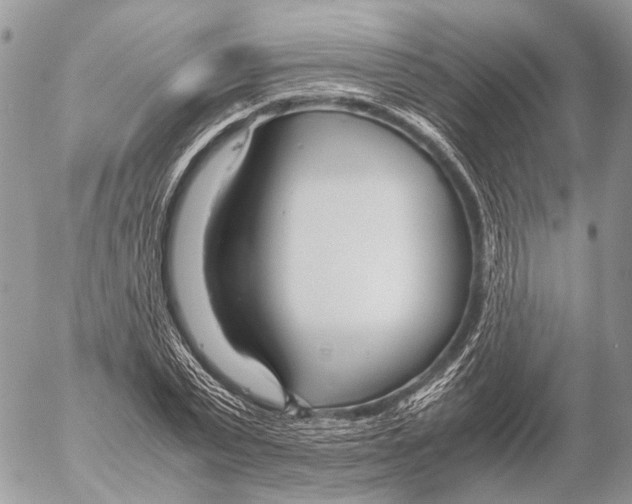 X0000053070783200508081219