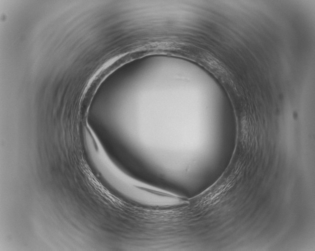 X0000053070784200508081218