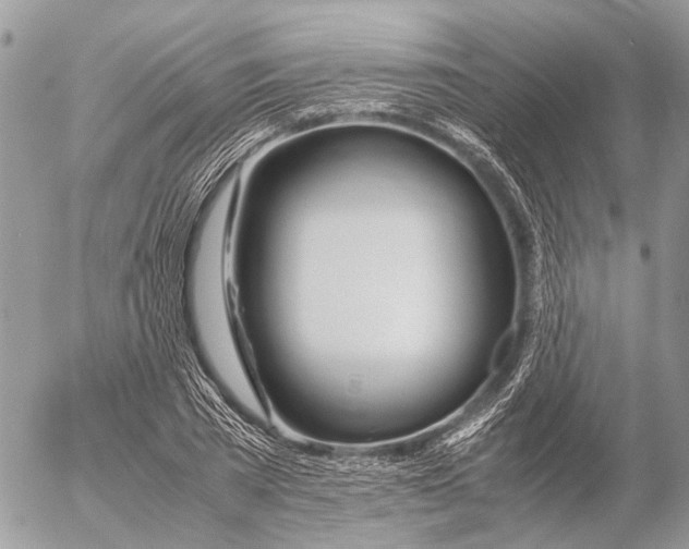 X0000053070785200508081218