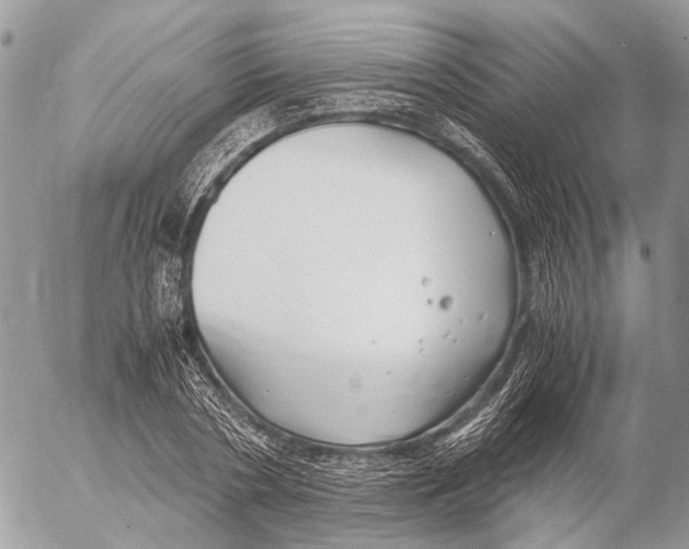 X0000053070786200508081218