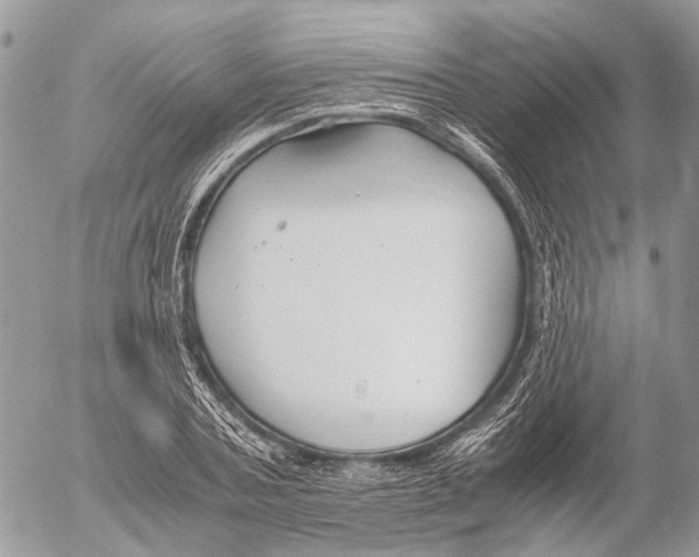 X0000053070787200508081218