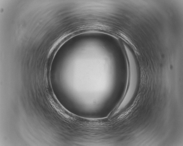 X0000053070788200508081218