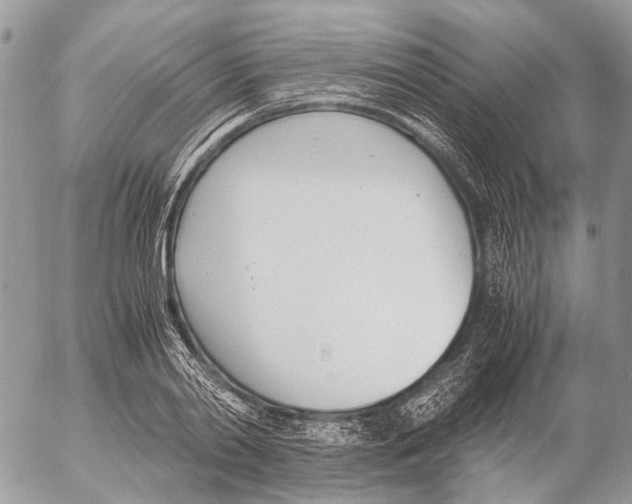 X0000053070790200508081218