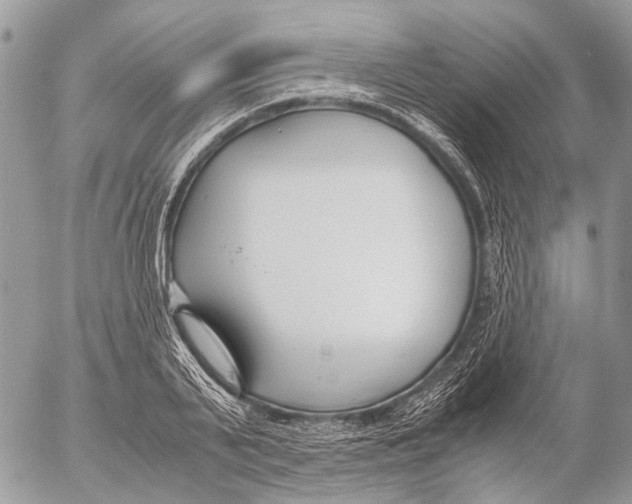 X0000053070791200508081218