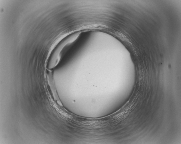 X0000053070792200508081218