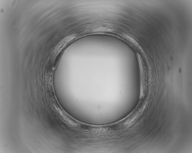 X0000053070793200508081218