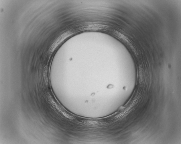 X0000053070794200508081218