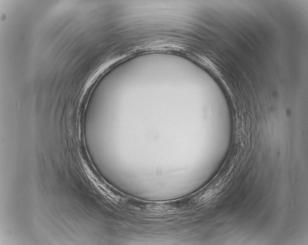 X0000053070795200508081218