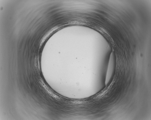 X0000053070796200508081218