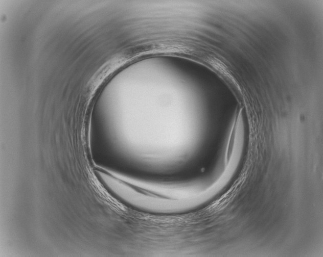 X0000053070797200508081218