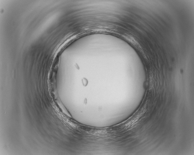 X0000053070798200508081218