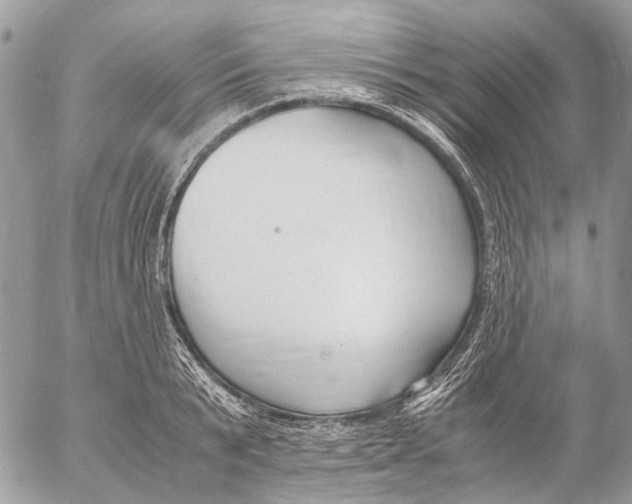 X0000053070799200508081218