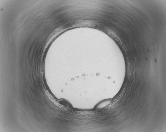 X0000053070800200508081218