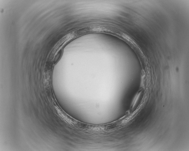 X0000053070801200508081218