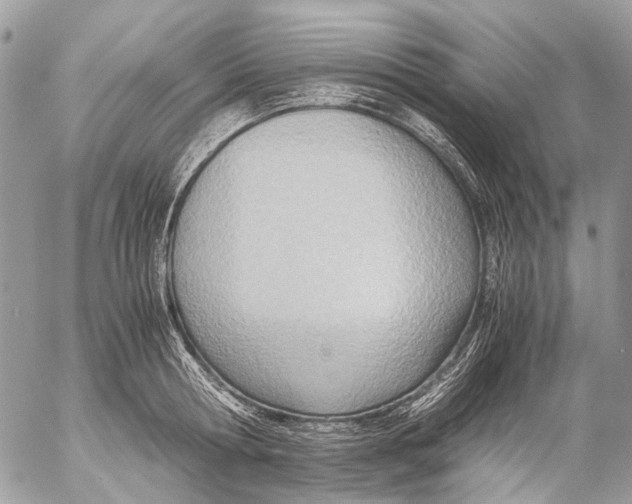 X0000053070802200508081218