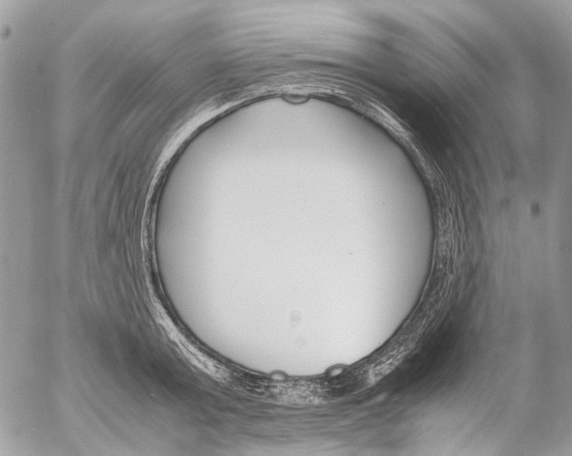 X0000053070803200508081218