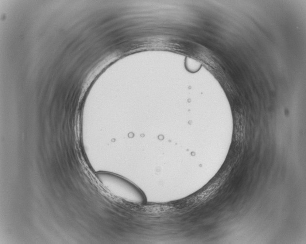 X0000053070804200508081218