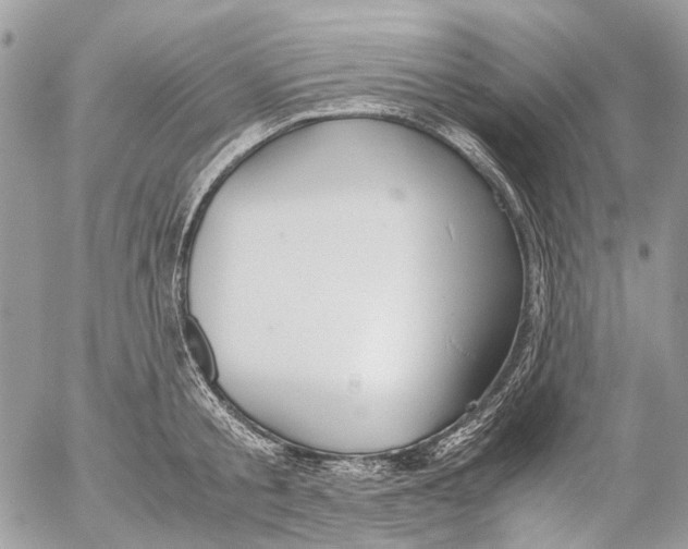 X0000053070805200508081218