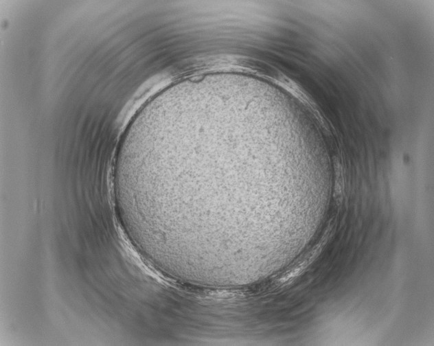 X0000053070806200508081218