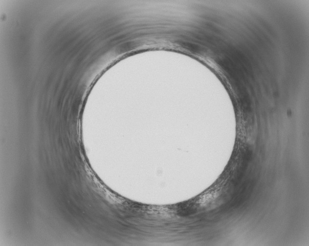 X0000053070807200508081218