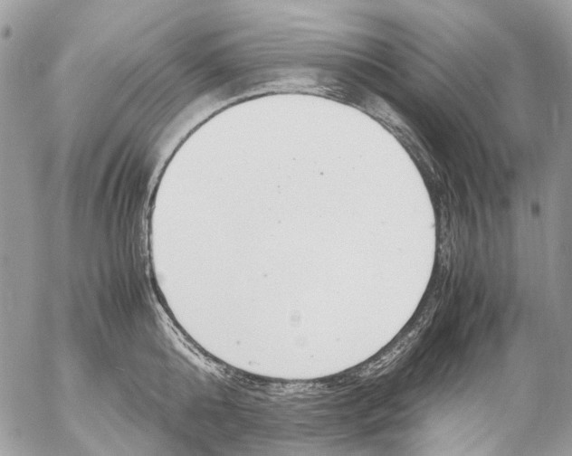 X0000053070808200508081218