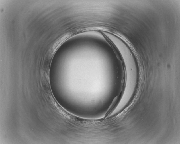 X0000053070809200508081218