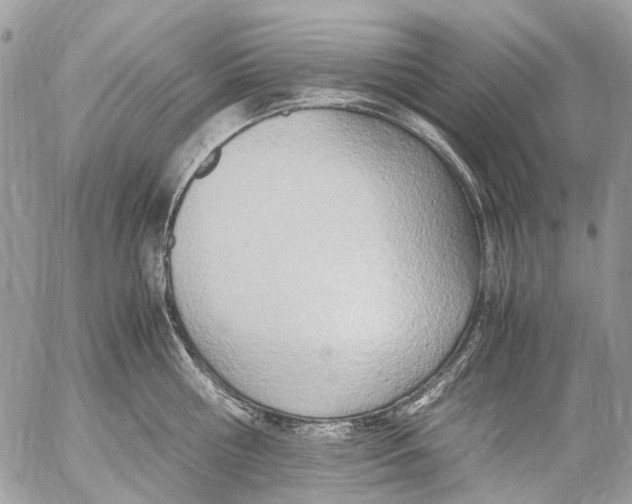 X0000053070810200508081218