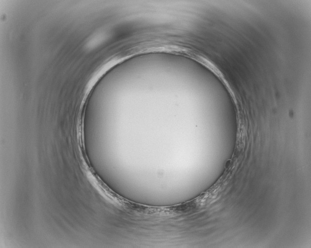 X0000053070811200508081218