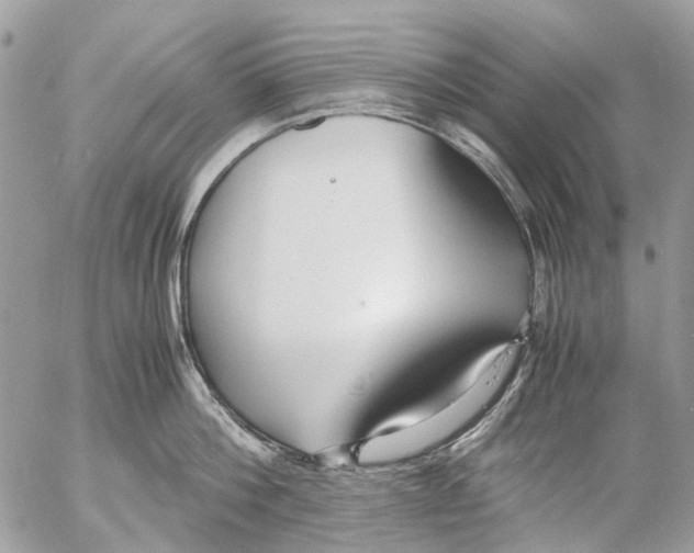 X0000053070812200508081218