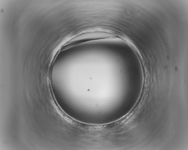 X0000053070813200508081218