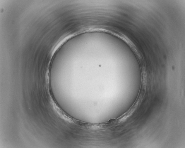 X0000053070814200508081218