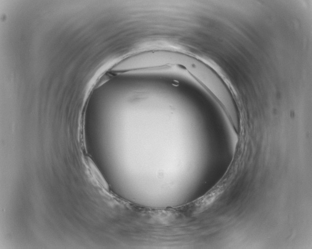 X0000053070815200508081218