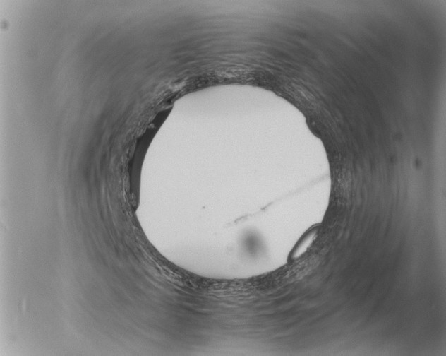 X0000053070817200508081217